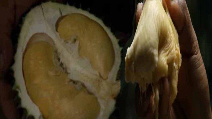 Durian Lokal yang Harganya Capai Rp 800 RIbu, Rasanya Istimewa, Tebel Banget