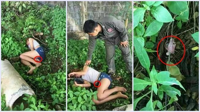 Rintihan Gadis Belia di Kebun Tebu Belakang Rumah Berujung Petaka, Cowok Kenalan Medsos Kabur