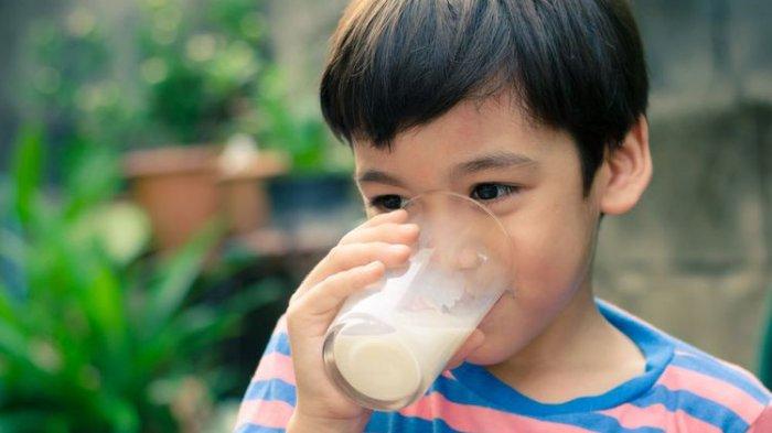 Mana yang Lebih Baik Minum Susu Selagi Panas atau Setelah Dingin, Begini Jelasnya