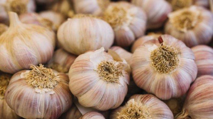 Hisap Bawang Putih seperti Permen Selama 30 Menit Setiap Hari, Rasakan Efek Setelahnya, Luar Biasa