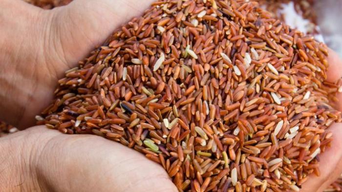 Ternyata Mengkonsumsi Beras Merah Lebih Baik