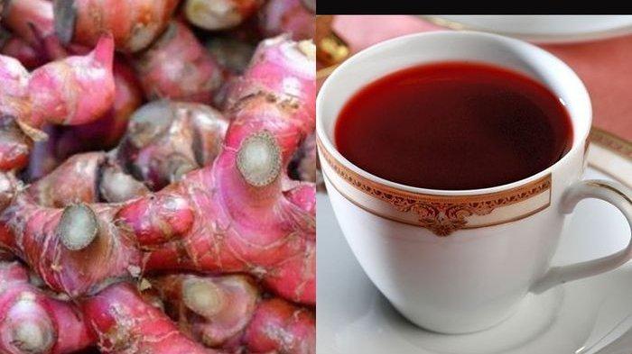 Manfaat Jahe Merah untuk Menurunkan Kolesterol hingga Sembuhkan Batuh Menahun