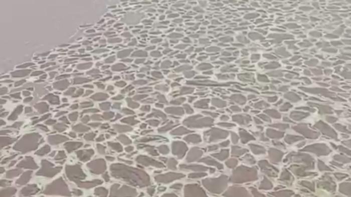 Perairan laut Perlang Desa Perlang Kecamatan Lubuk Besar Kabupaten Bangka Tengah tercemar limbah berwarna kuning pekat diduga dari pembuangan limbah pabrik sawit. Cairan tersebut menyerupai jaring laba-laba.