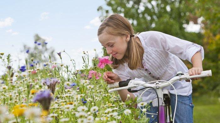 Ketika Mencium Bau Tertentu Memori Bisa Tiba-Tiba Muncul, Ini Fakta Unik Hidung