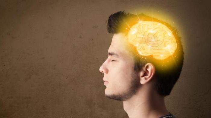 Terungkap, Inilah Penyebab Memori Otak Anda Menurun
