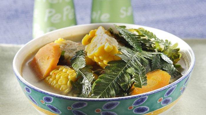 Keluarga Pasti Dibuat Penasaran dengan Rasa Pakis Masak Lodeh, Yuk Kreasikan di Rumah!