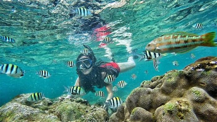 Hai Warga Belitung, Yuk Wisata ke Pantai Nglambor yang Terumbu Karangnya Oke Punya
