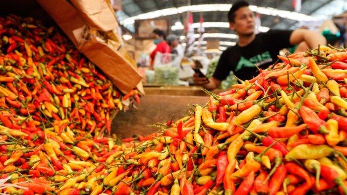 Harga Cabai Semakin Pedas, Musim Kemarau Bikin Pasokan Berkurang