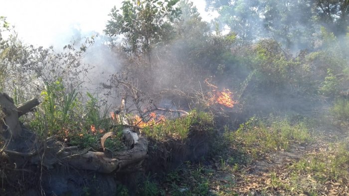 Sejoli Ini Kawin Lari dan Bertahan Hidup di Hutan Selama 23 Hari Cuma Berbekal Ini