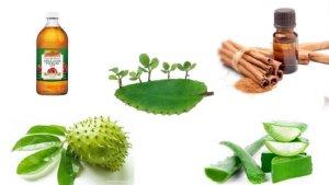 20220906-obat-herbal-wasir.jpg