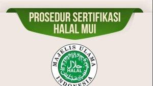 20230228-Ilustrasi-Prosedur-Sertifikat-Halal-MUI.jpg