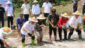 20250924-Wabup-Belitung-bersama-jajaran-pemerintah-daerah-saat-menanam-padi-di-Desa-Ibul.jpg