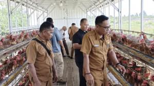 belitung/20251017-Kepala-Desa-Bantan-meninjau-kandang-ayam-milik-BUMDes.jpg