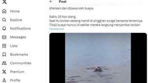 2711-buaya-3.jpg