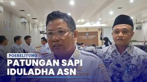 ASN-Bangka-Tengah-Diajak-Patungan-Sapi-untuk-Iduladha-Tak-Wajib.jpg
