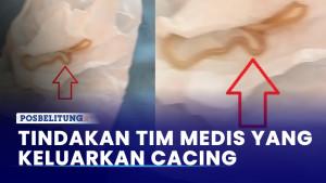 Tindakan-Tim-Medis-Terhadap-Balita-Yang-Keluarkan-Cacing.jpg