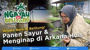 Wisata-Alam-Arkana-Huis-Belitung-Nikmati-Panen-Sayur-dan-Homestay-Asri.jpg