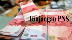 tunjangan-pns_20170310_173834.jpg