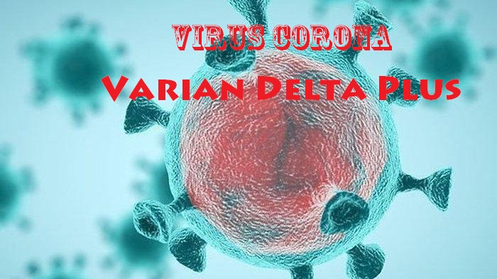 20210728-virus-corona-varian-delta-plus.jpg