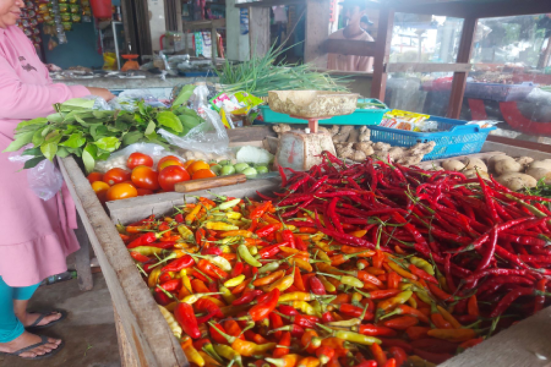 Harga Kebutuhan Pokok di Bangka Belitung Melambung, Rumah Tangga Harus Mampu Siasati Pola Konsumsi