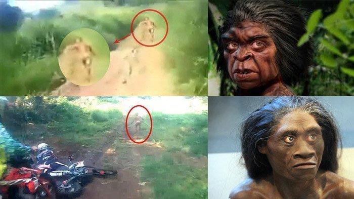 BUKTI Manusia Kerdil di Pedalaman Indonesia Masih Ada, Ini Ciri-cirinya