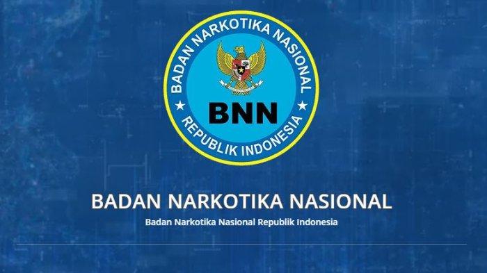 Loker Pegawai PPNPN Badan Narkotika Nasional (BNN), Tingkat Pendidikan SMA/SMK