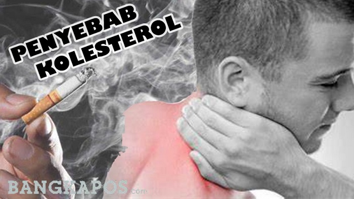 20220811-penyebab-kolesterol-tinggi.jpg