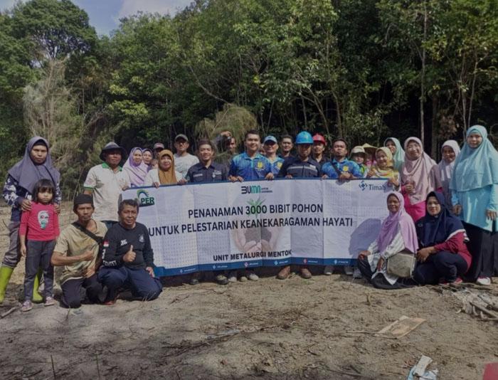 Sempat Tak Beroperasi Sejak Pandemi, Pokdarwis MPBK dan PT Timah Tanam 3000 Pohon di Bukit Kukus