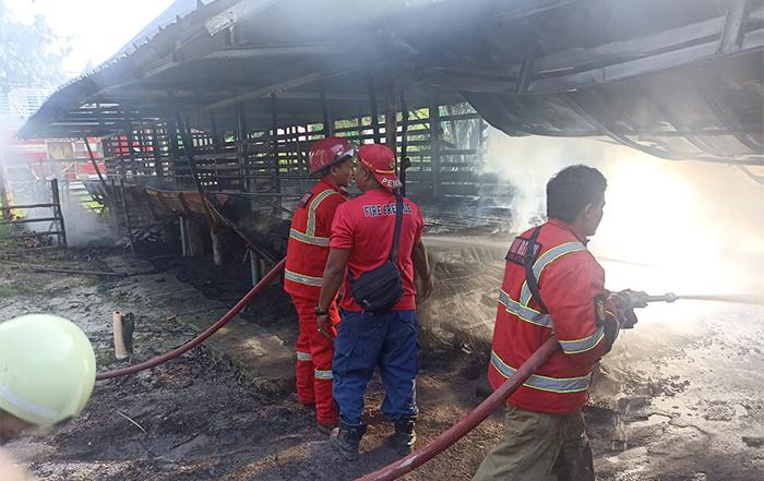 20231227-Petugas-Damkar-BPBD-Belitung-memadamkan-api-yang-membakar-kandang-sapi.jpg