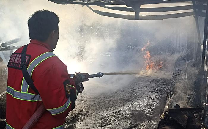 Butuh Waktu 30 Menit Petugas Damkar BPBD Belitung Padamkan Kebakaran Kandang Sapi