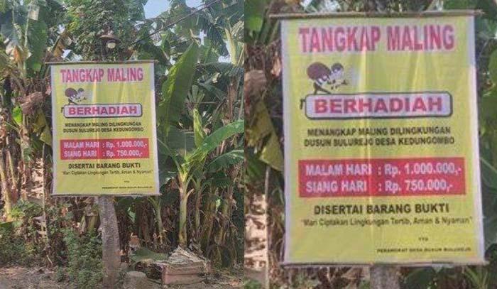 Heboh Sayembara Tangkap Maling di Nganjuk Jawa Timur Berhadiah Rp1 Juta, Janjikan Hadiah Beragam