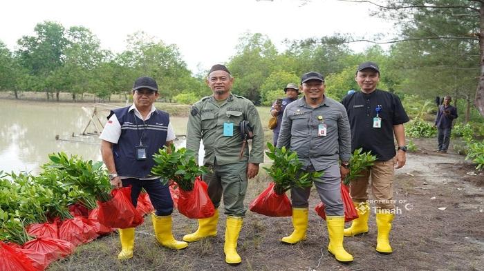20260120-PT-Timah-Tbk-Tanam-Belasan-Ribu-Mangrove-di-Kundur-dan-Meranti.jpg