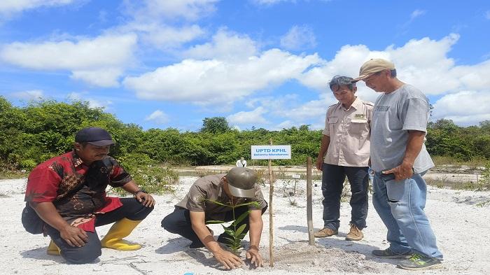 KPHL Belantu Mendanau Apresiasi Rehabilitasi Lahan Kritis di Gunung Lalang