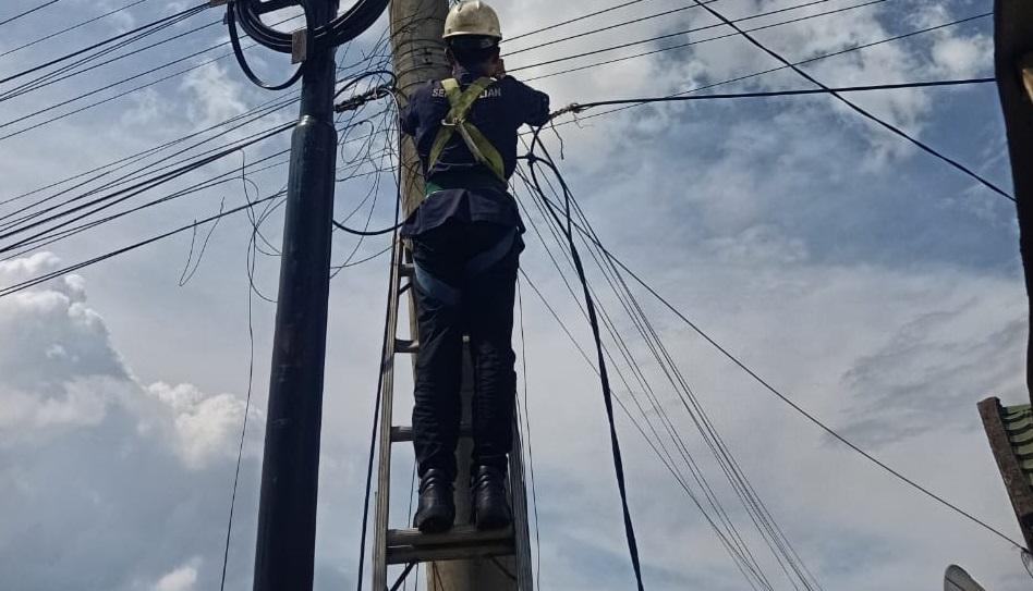 PLN Icon Plus Tertibkan dan Data Kabel FO Ilegal di Tiang Listrik Agar Tak Mengganggu