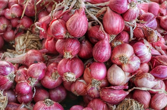 bahaya-bawang-merah-untuk-kulit-kepala-2323.jpg