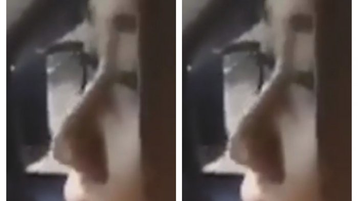 Driver Grab Cantik Ini Malah Minta Dinikahi Usai Dikomplain Penumpang