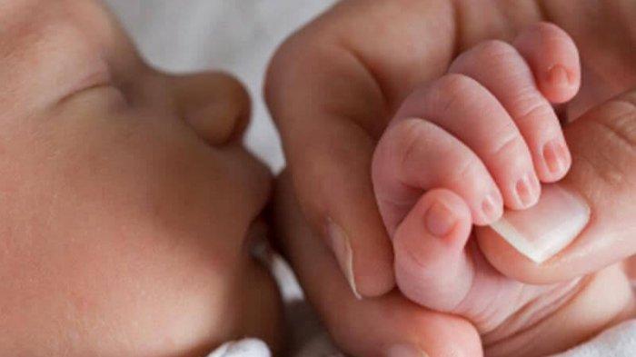 ilustrasi-bayi-tidur-jam-tidur-saat-anak-masih-bayi-bisa.jpg