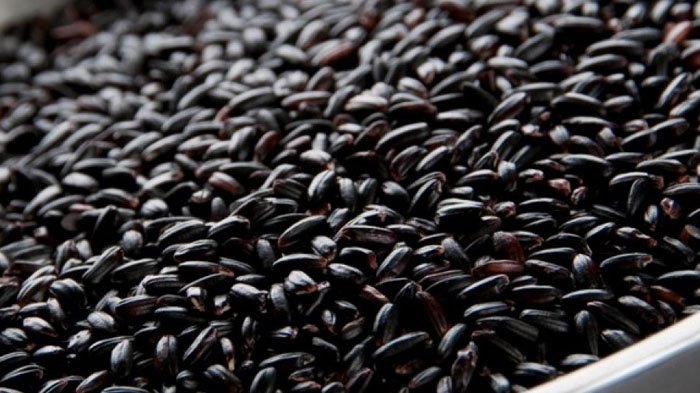 ilustrasi-beras-hitam.jpg