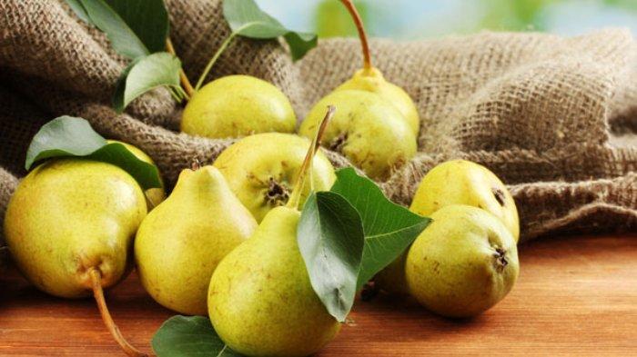ilustrasi-buah-pir-ttt.jpg