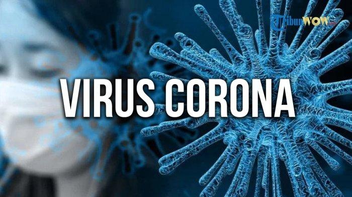 ilustrasi-virus-coronacovid-19-hasil-studi.jpg