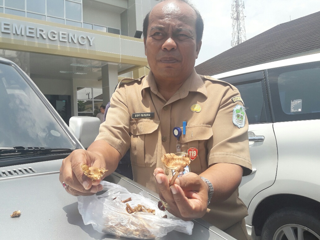 plt-kepala-dp2kbp3a-kabupaten-bangka-boy-yandra_20180402_171748.jpg