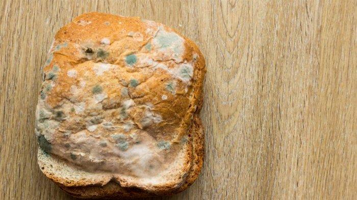 Tahukah Anda Apa yang Terjadi pada Tubuh Jika Tak Sengaja Menyantap Makanan Berjamur? Ini Jelasnya