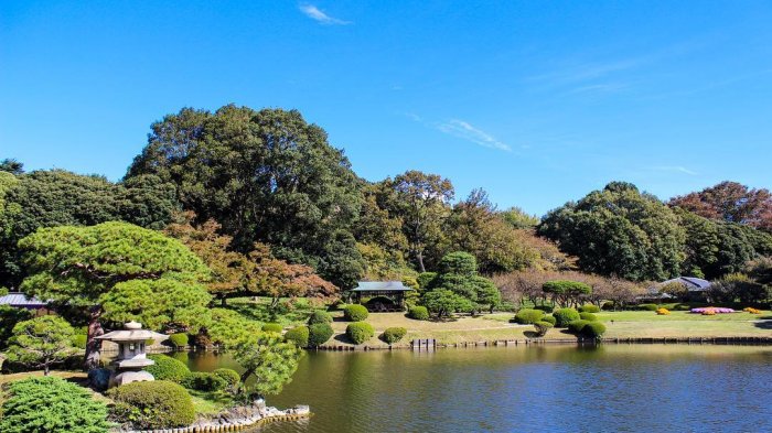 shinjuku-gyoen-taman-nasional-terbesar-yang-ada-di-tokyo-jepang.jpg