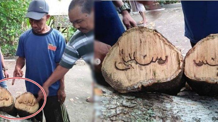 viral-pohon-kayu-bertuliskan-huruf-arab.jpg