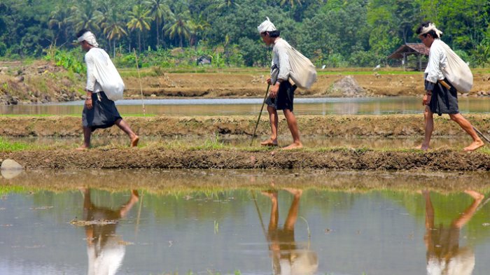 Baduy Minta Dihapus dari Destinasi Wisata ke Jokowi, Pengunjung Buang Sampah Sembarangan