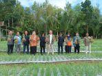 Pengendalian Inflasi di Bangka Belitung, BI-Pemda Perkuat Ketahanan Pangan