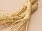 20220624-ginseng-qwvv.jpg