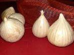 20221107-bawang-putih-tunggal.jpg