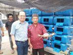 Budidaya Kepiting Bakau Crab Box Apartment Mulai Dilirik Warga Bateng, Algafry: Solusi saat Paceklik