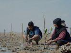 20230910-Penanaman-Mangrove.jpg